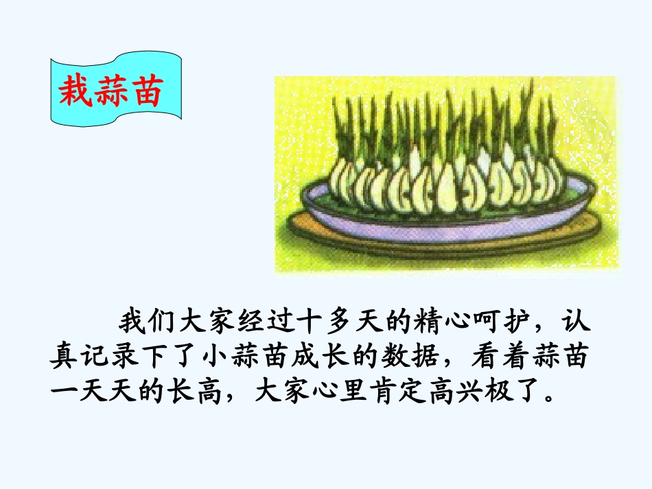 小学数学北师大2011课标版四年级《栽蒜苗(一)》课件.ppt_第2页