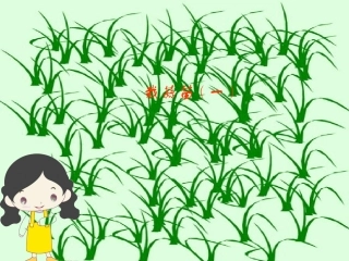 小学数学北师大2011课标版四年级《栽蒜苗(一)》课件.ppt