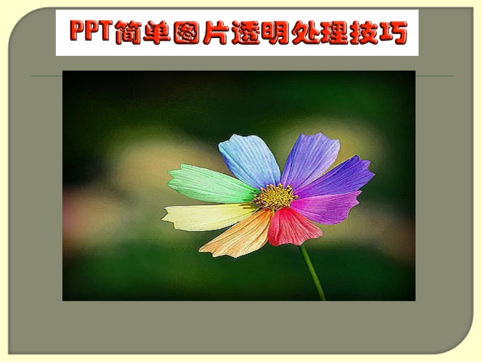 PPT图片透明处理技巧1_第1页