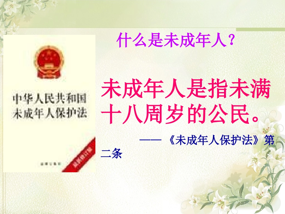 北师大版八上7《保障未成年人权益-第1站》课件_第3页