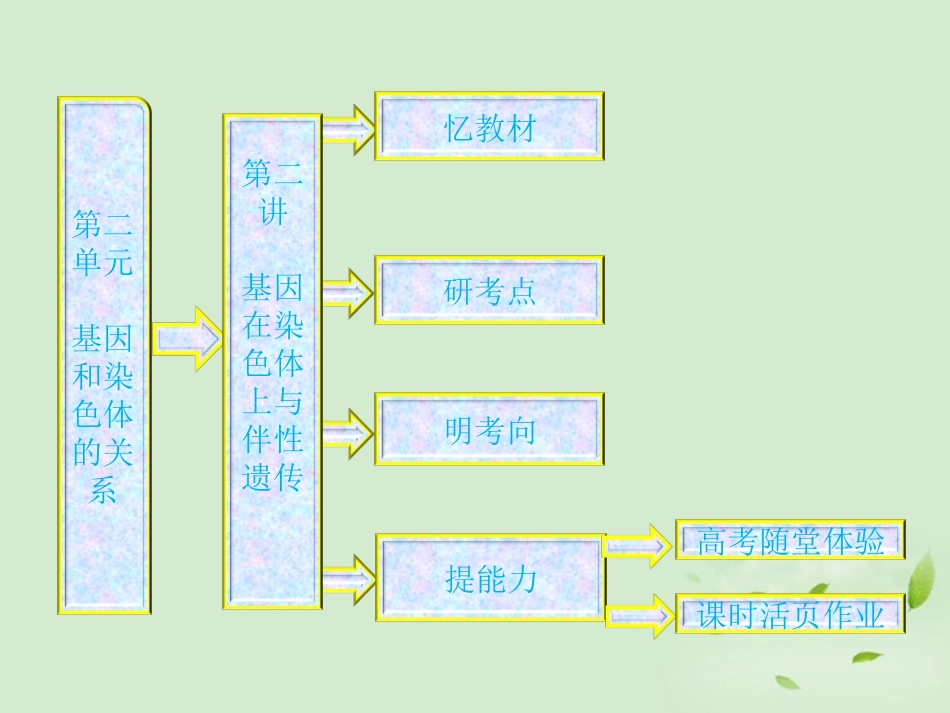 【三维设计】2013高中生物一轮复习-第二单元-第二讲-基因在染色体上与伴性遗传课件-新人教版必修2_第1页