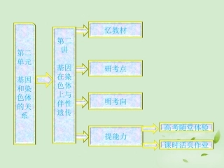 【三维设计】2013高中生物一轮复习-第二单元-第二讲-基因在染色体上与伴性遗传课件-新人教版必修2