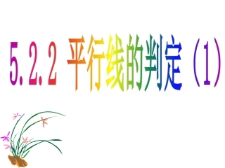 5.2.2平行线的判定(1)