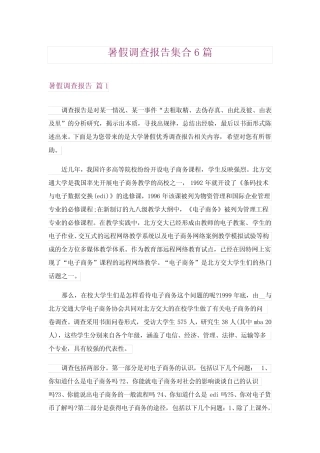 2024年暑假调查报告集合6 