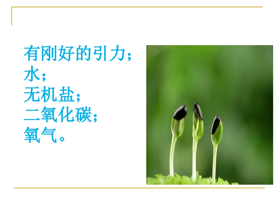 怎样在太空舱中种植种子_第3页