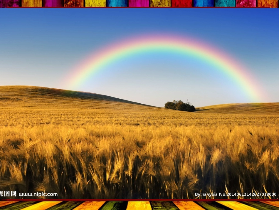 第二课七彩生活_第2页