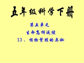《13-植物繁殖的奥秘》课件2