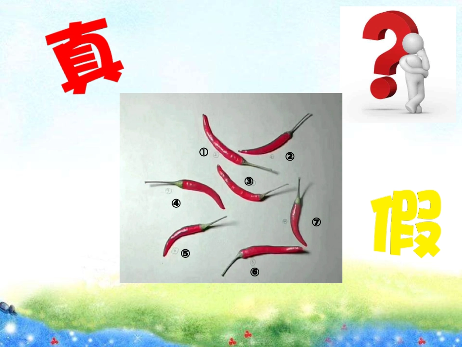 网络新辨真伪_第2页