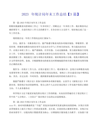 2023年统计局年终工作总结【3篇】 