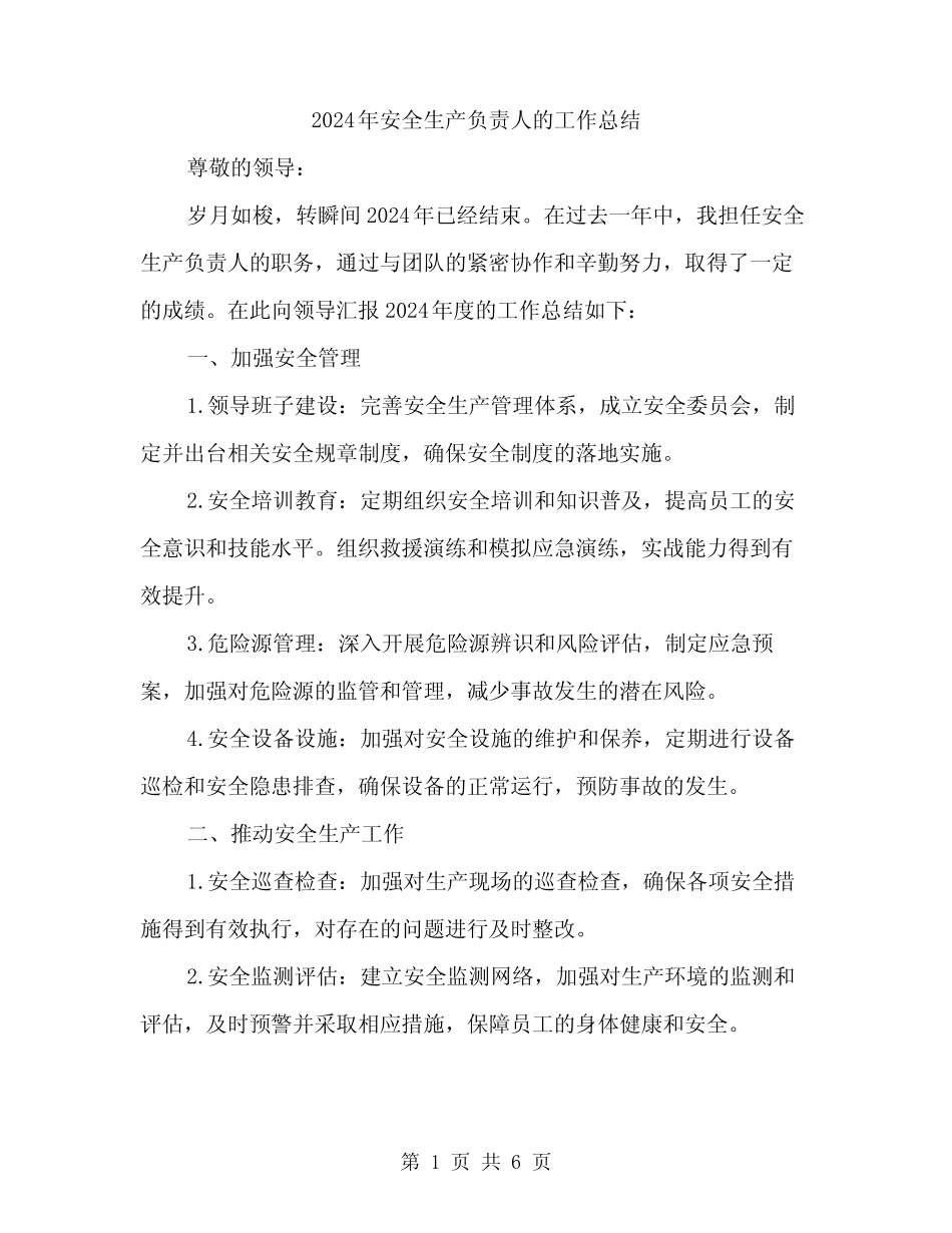 2024年安全生产负责人的工作总结(2篇)_第1页