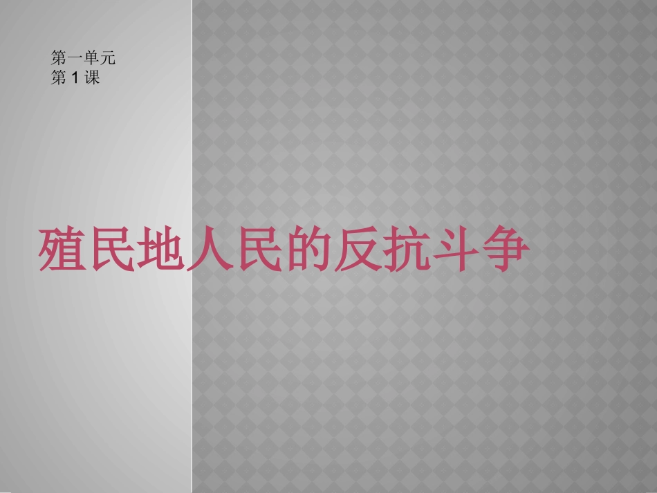 第1课殖民地人民的反抗斗争-(2)_第2页