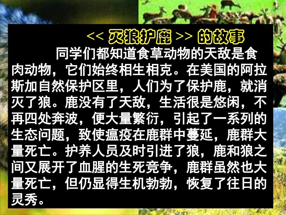 -竞争？合作？_第3页