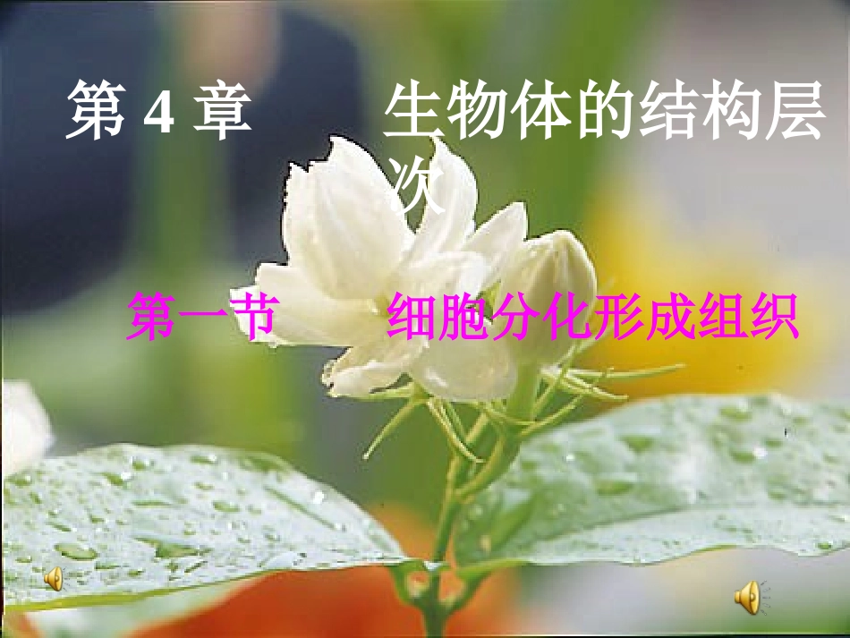 第1节细胞分化形成组织-(2)_第1页