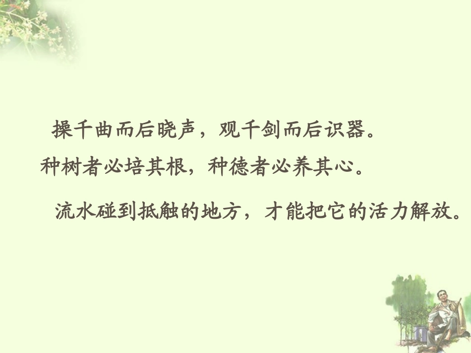 六年级语文《桃花心木》课件_第2页