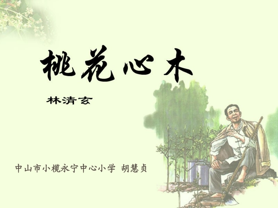 六年级语文《桃花心木》课件_第3页