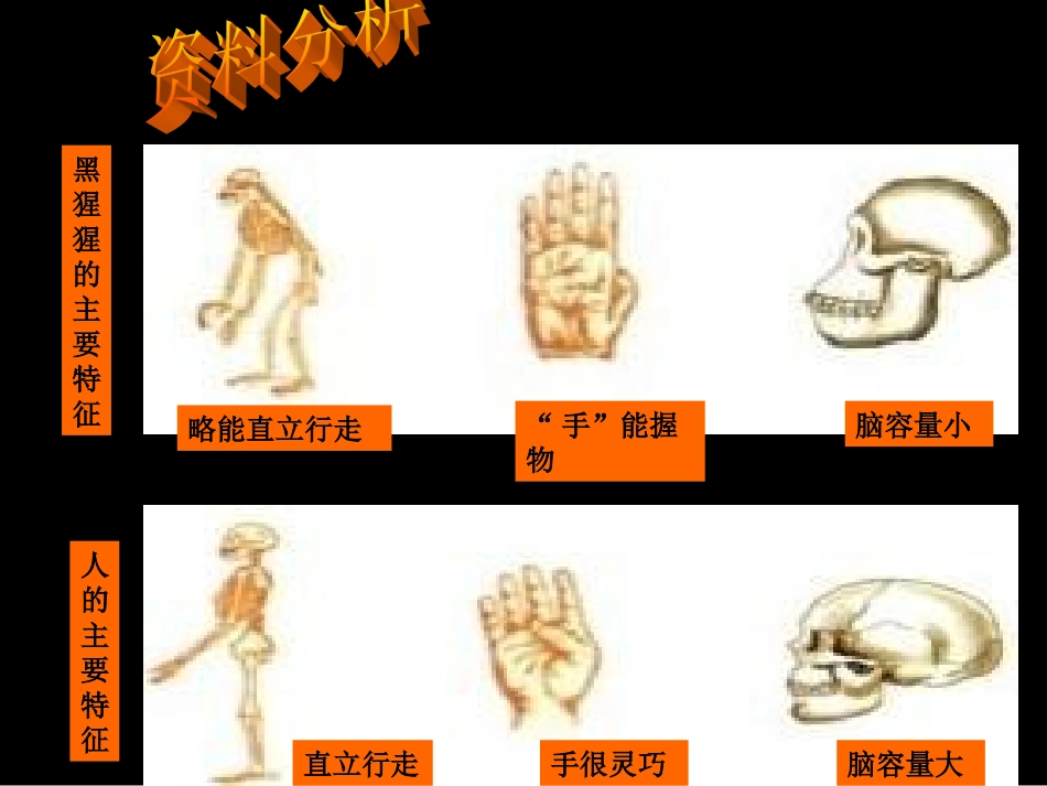 第1课-人类的形成_第3页