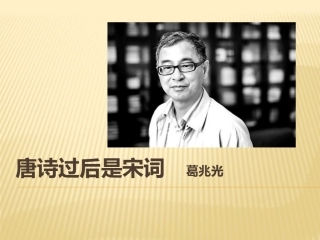 十唐诗过后是宋词