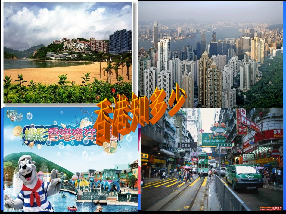 5我给江主席献花-(2)_第1页