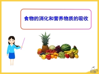 第2节食物的消化和营养物质的吸收-(2)