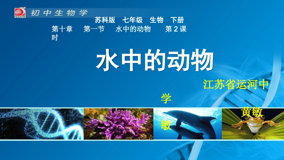 第1节水中的动物_第1页