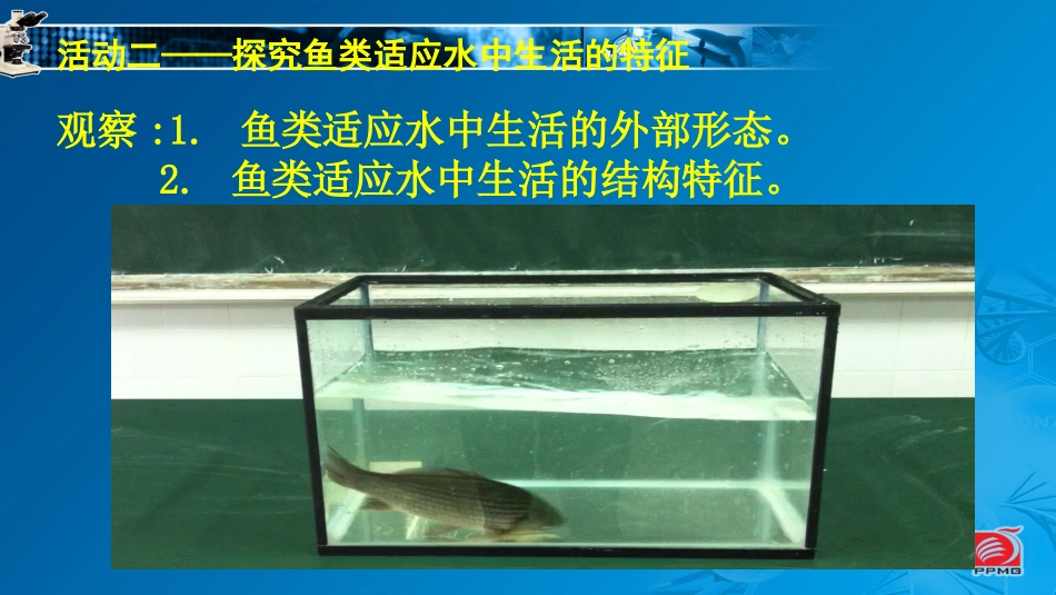 第1节水中的动物_第3页