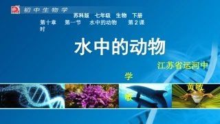 第1节水中的动物