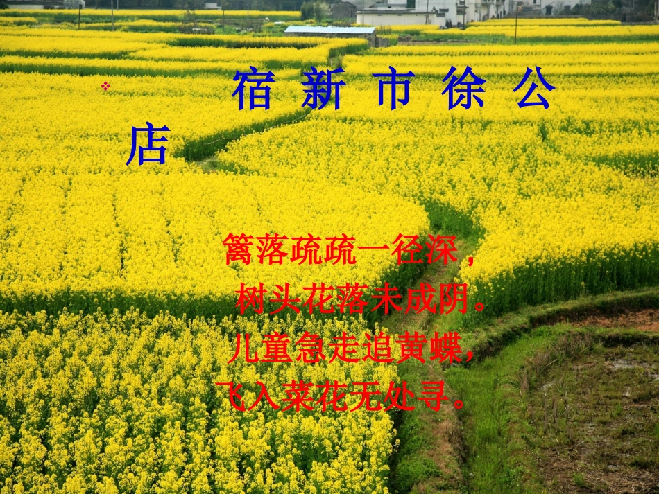 过松源晨炊漆公店(其五)-(7)_第2页