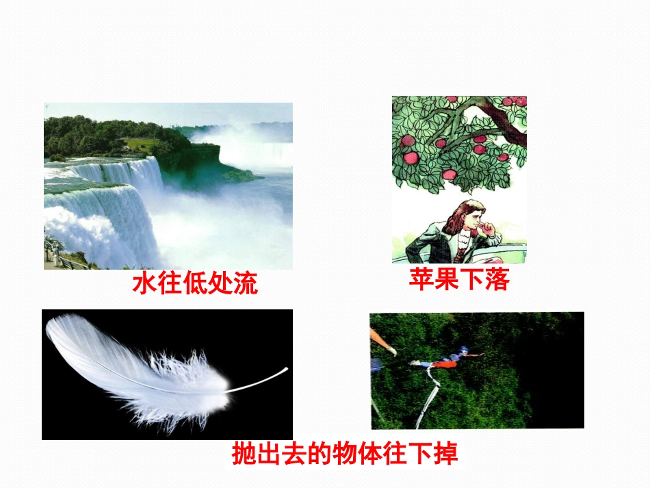 二、重力-(3)_第3页