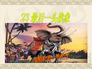 六年级语文最后一头战象1