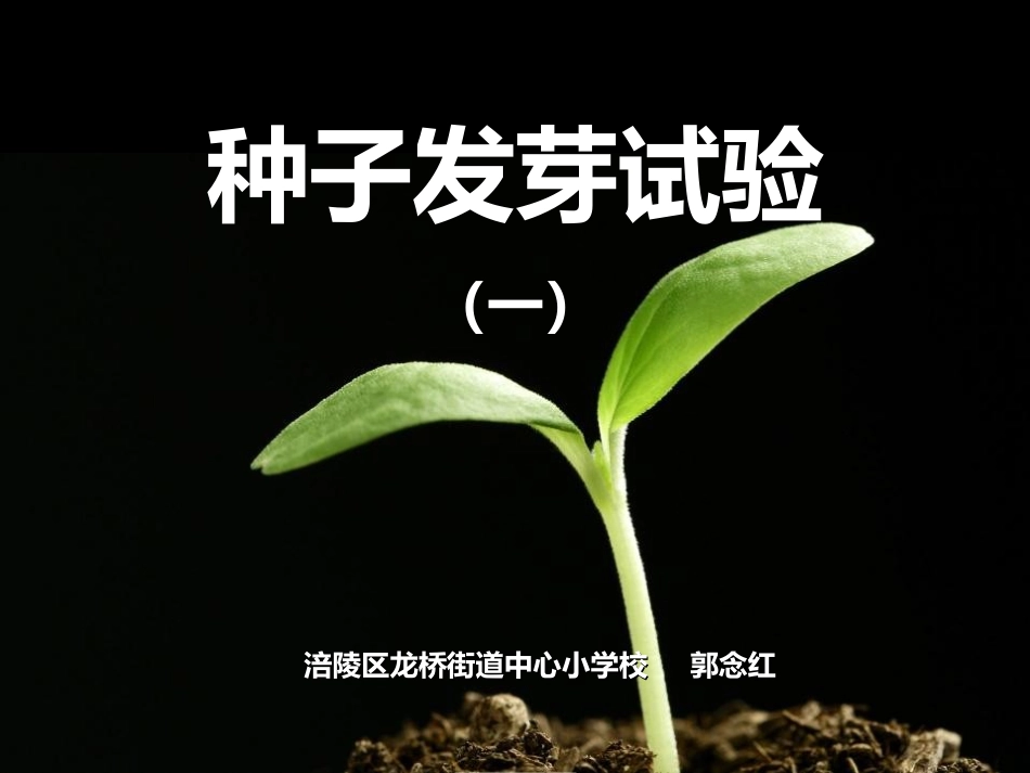 种子发芽实验(一)-(3)_第1页