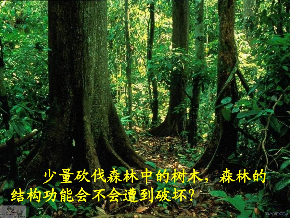 第5节生态系统的稳定性_第2页