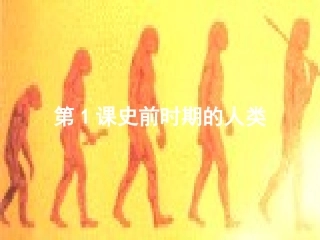 第1课史前时期的人类-(2)
