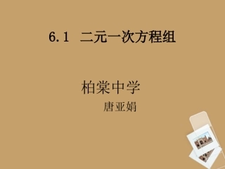6.1二元一次方程组