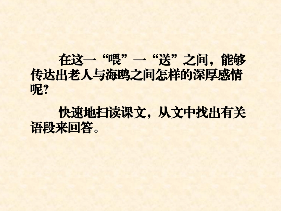 11—21—老人与海鸥_第3页