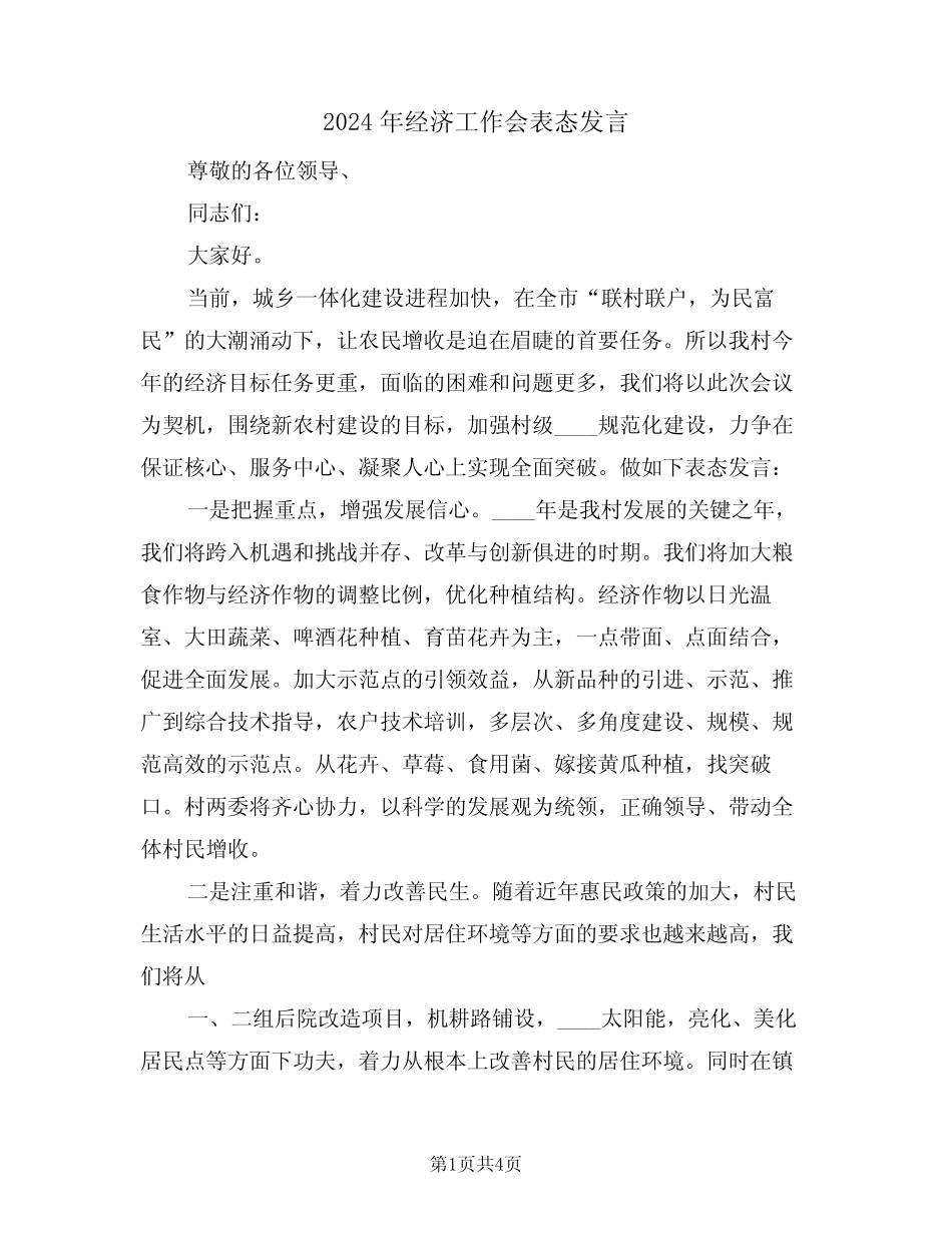 2024年经济工作会表态发言(二)_第1页