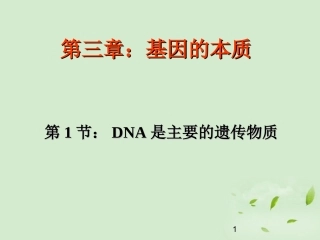 高中生物-3.1《DNA是主要的遗传物质》课件-新人教版必修2-