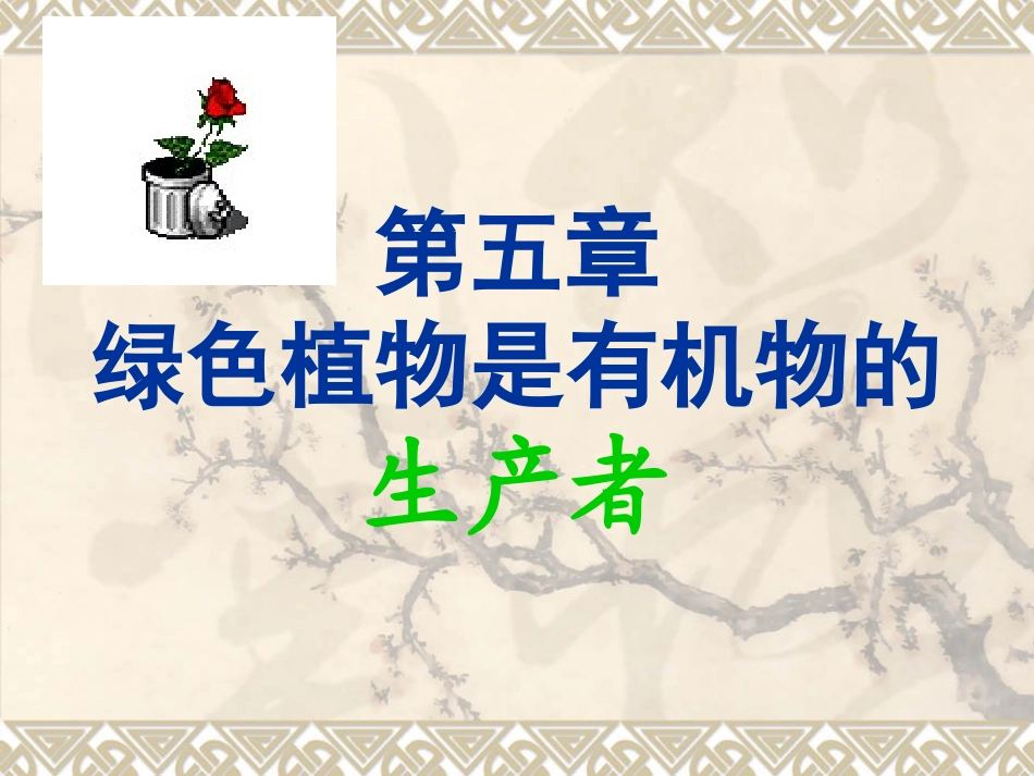 第1节植物的光合作用-(2)_第1页