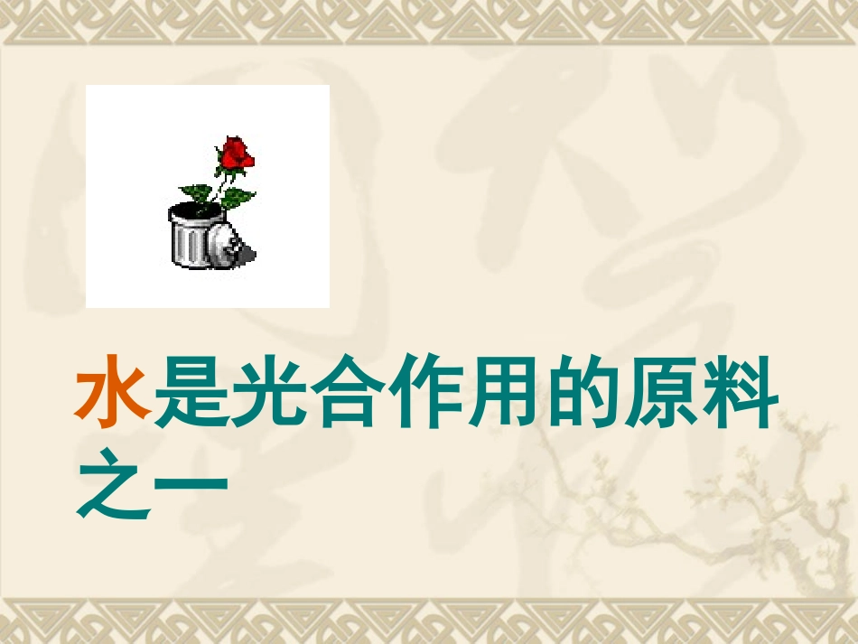 第1节植物的光合作用-(2)_第3页