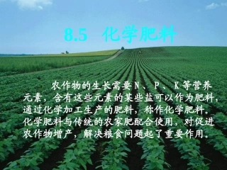 8.5化学肥料