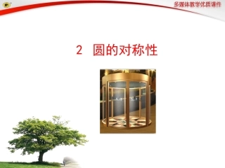 2圆的对称性