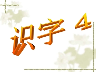 《识字4》课件