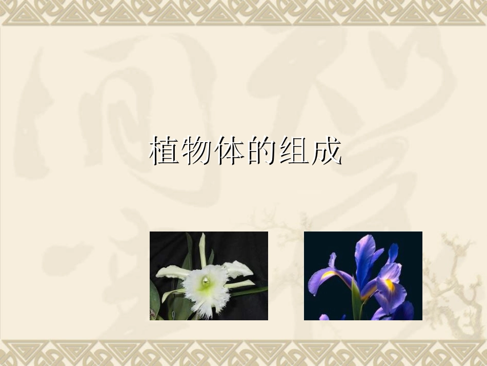 第1节植物体的组成-(2)_第1页
