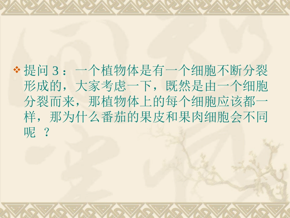 第1节植物体的组成-(2)_第3页