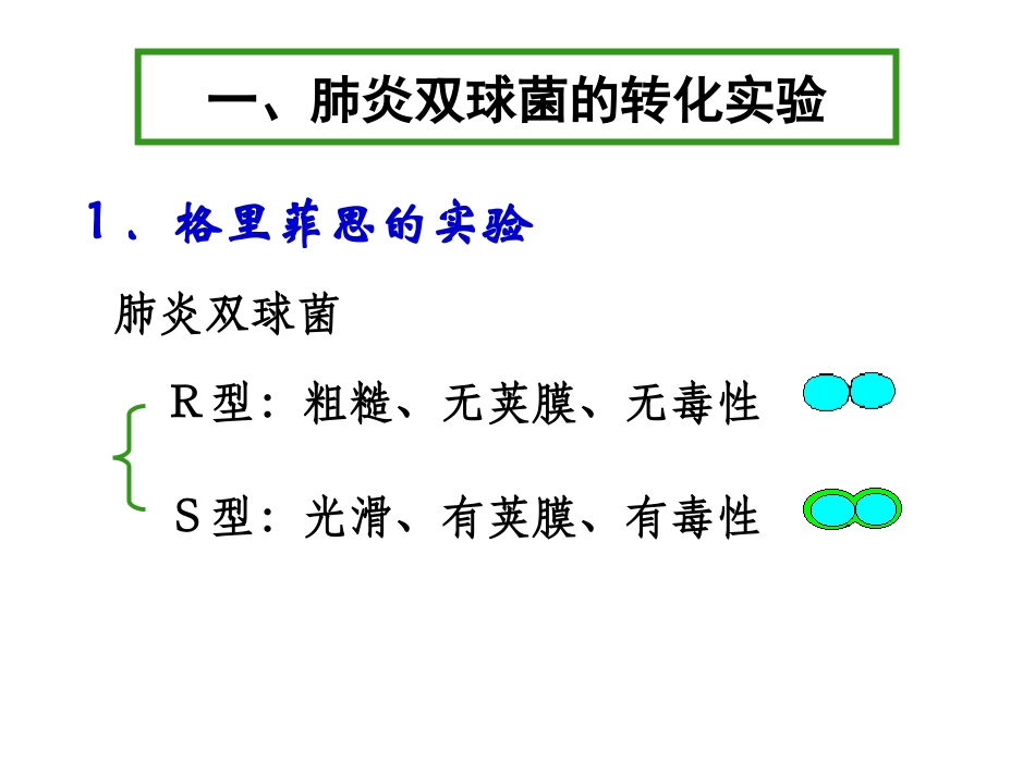 3.1《DNA是主要的遗传物质》-课件13_第2页