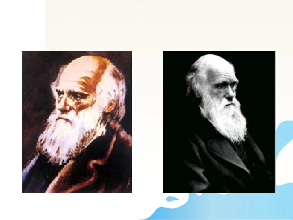 3达尔文与他的“进化论”_第2页