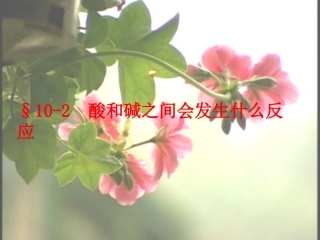 课题2-酸和碱之间会发生什么反应2