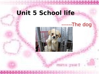 四年级英语下册Unit5Schoollife-7Astory---Thedog
