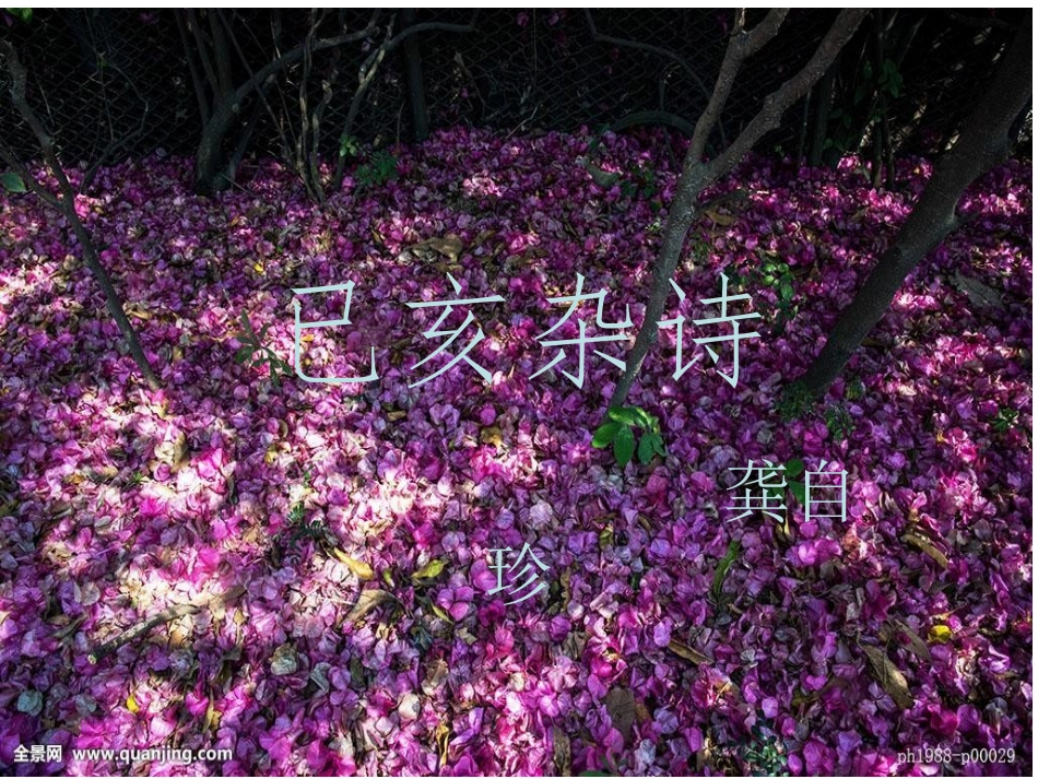 8-已亥杂诗_第1页