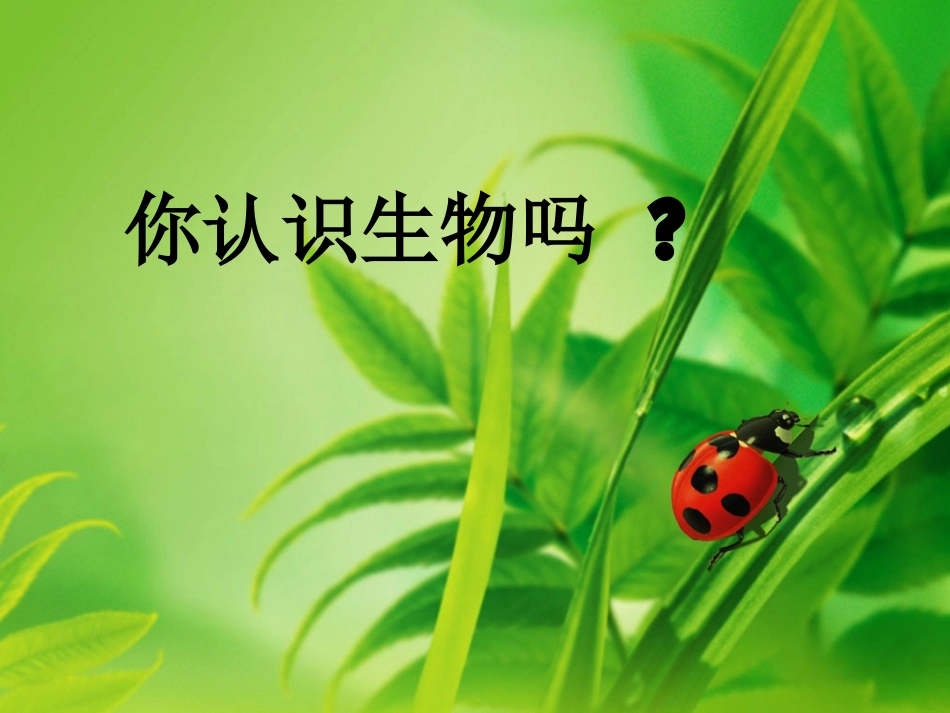 内蒙古鄂尔多斯康巴什新区第一中学七年级生物下册-生物的特征课件-新人教版_第2页