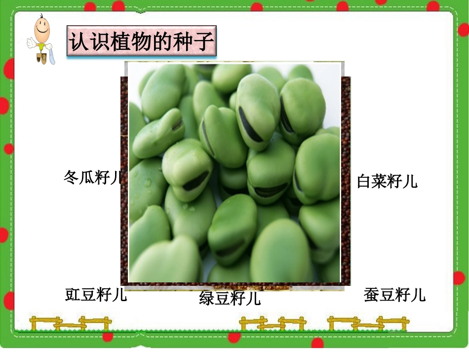 1播撒希望的种子_第3页